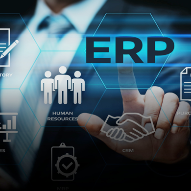 ERP System case study