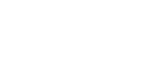 Logo Netset Software Solutions