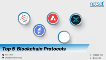 TOP 5 Blockchain Protocols With NetSet Software!